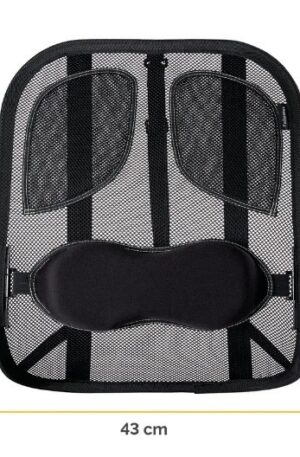 Fellowes Professional Series Mesh Back SupportFellowes