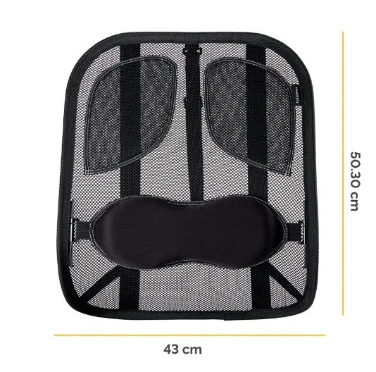 Fellowes Professional Series Mesh Back SupportFellowes