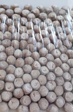 40MM POM Fringe Beige ON 12.5M Card