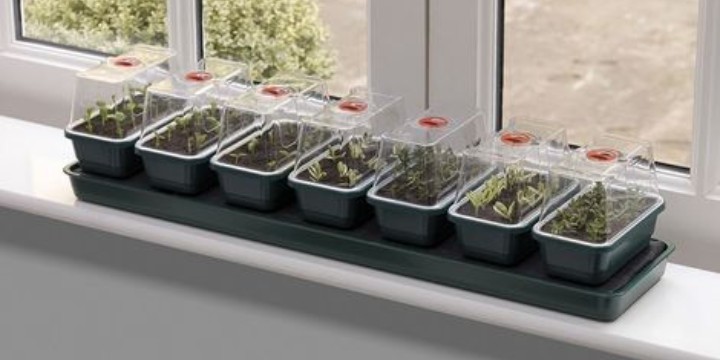 Garland Super 7 Self Watering Windowsill Propagator - 14 Days Watering
