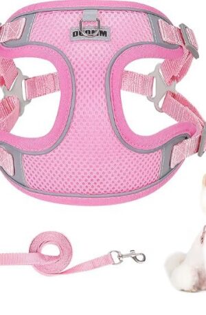 Dog Harness and Lead Set, Adjustable No Pull Dog Vest Harness, Size M