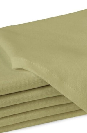 Encasa Cotton Cloth Napkins | Set of 6 | Size 43x43 cm | Sage Green Solid Color